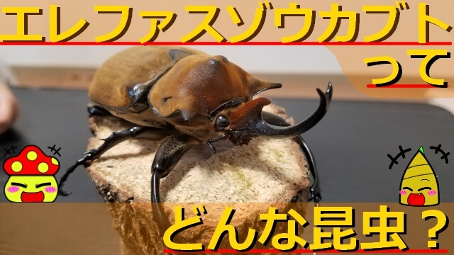 Thumbnail of post image 080